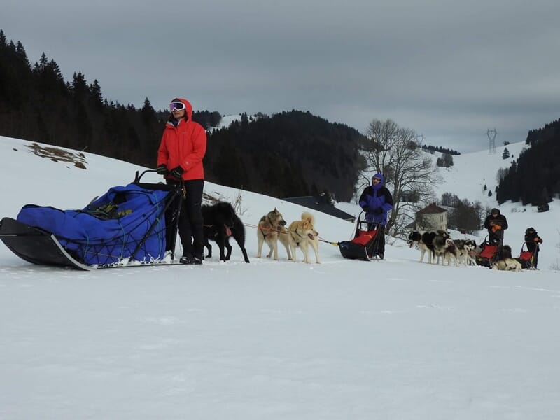 Stage de Survie Grand Froid Chiens de Traineau - Giron