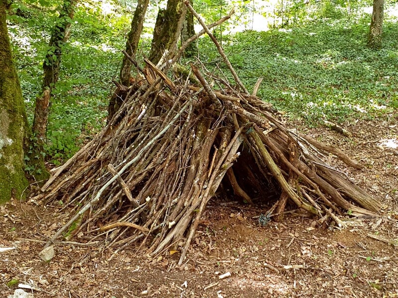 un abri de survie fait de branches mortes