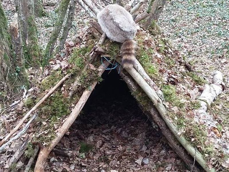 Stage de Survie en Bourgogne à Sainte-Colombe-sur-Seine