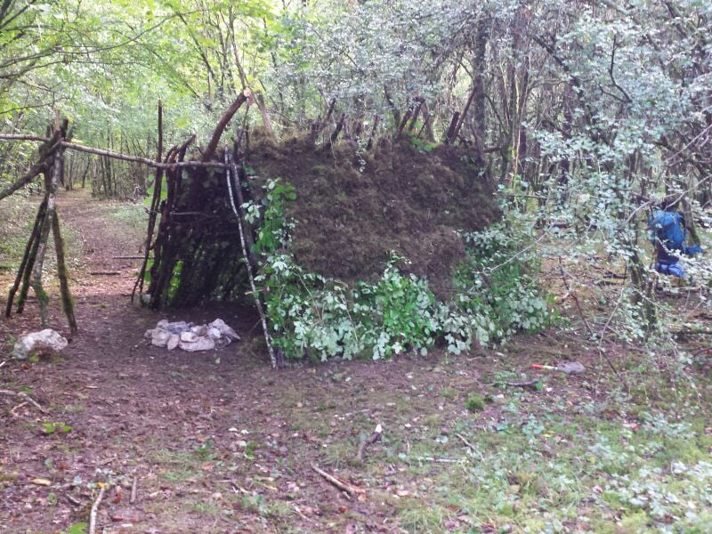 Stage de Survie en Forêt près d'Auxerre