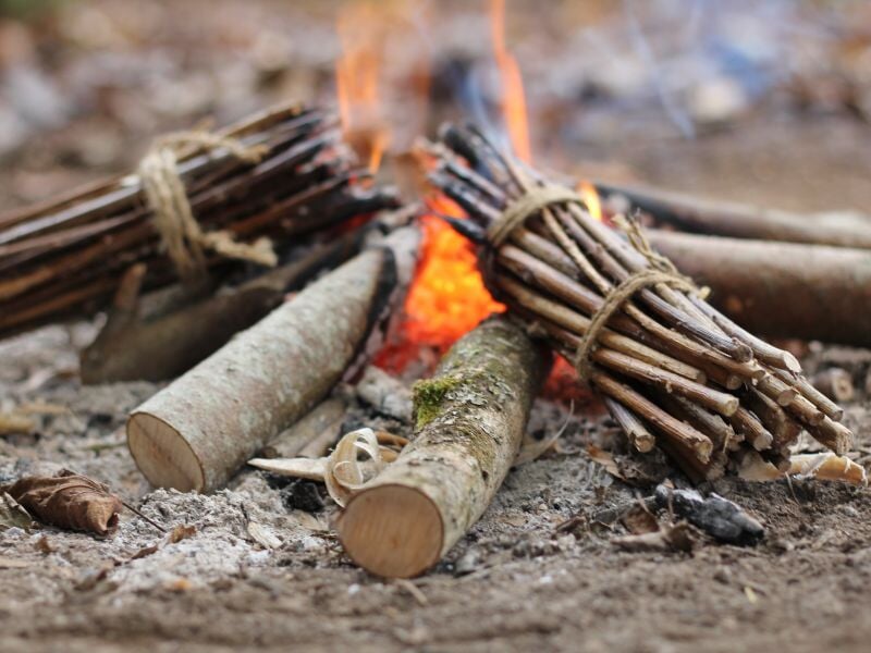 Stage de Survie en Forêt près d'Auxerre