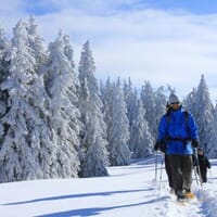 avis Randonnée en Raquettes aux Arcs - Massif de la Vanoise