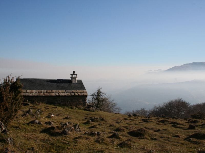 Randonnée avec les ânes près d'Argeles - Gazost - Massif du Hautacam