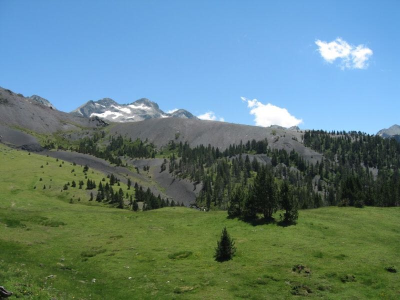Randonnée avec les ânes près d'Argeles - Gazost - Massif du Hautacam