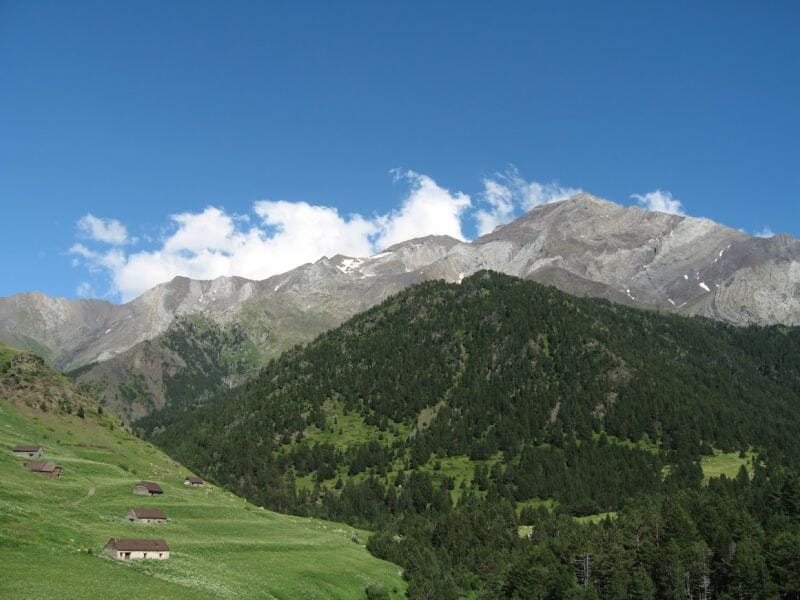 Randonnée avec les ânes près d'Argeles - Gazost - Massif du Hautacam