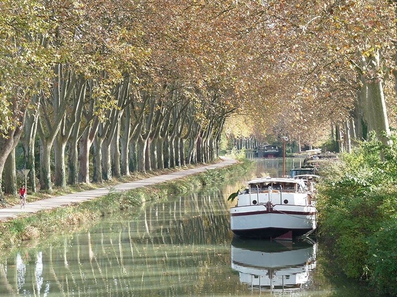 Bateau blanc naviguant sur un canal bordé d'arbres aux feuilles d'automne et d'une berge verdoyante.