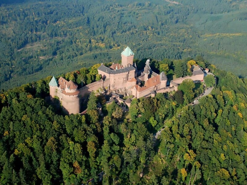 Vue aérienne d'un château fortifié entouré d'une dense forêt verte en pleine nature.