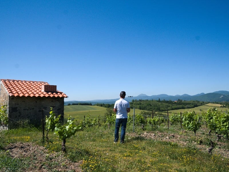 un télépilote de drone face à un vignoble