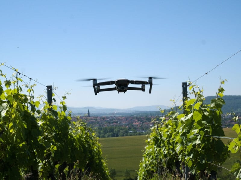 un drone de loisir vole entre les vignes
