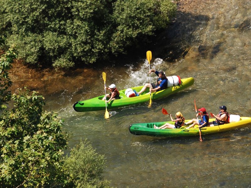 Trois canoës avec des pagayeurs naviguant sur une rivière peu profonde bordée d'arbres verts.