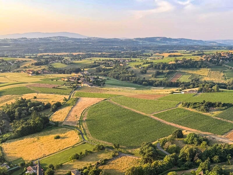 Vaste paysage agricole avec champs verts et jaunes, collines à l'horizon sous un ciel clair.
