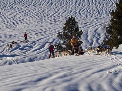 Séjour chiens de traineaux et raquettes à neige dans les Pyrénées
