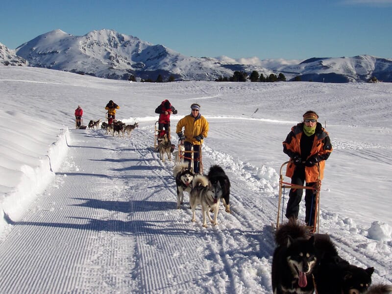 Séjour chiens de traineaux et raquettes à neige dans les Pyrénées