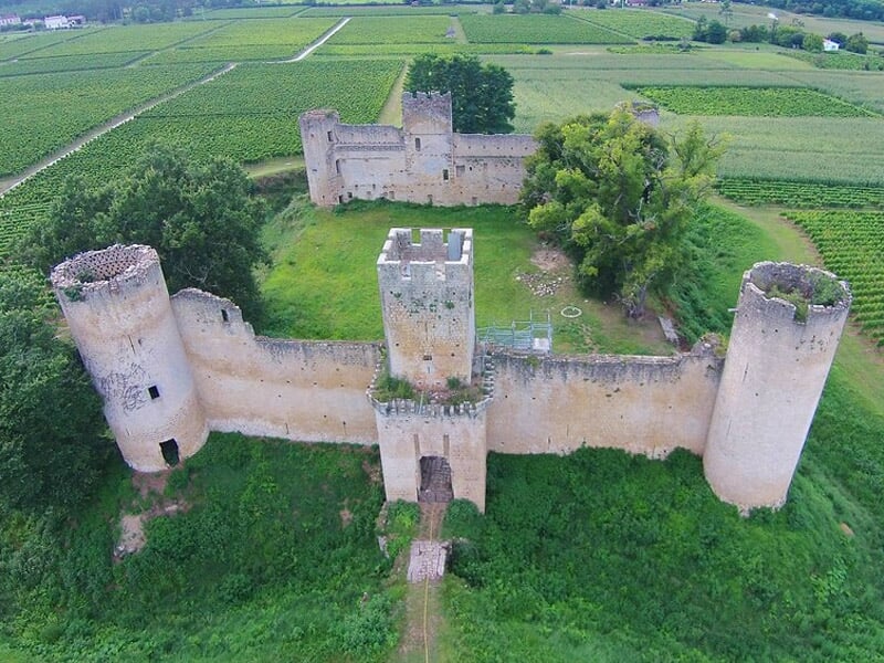 Un château en ruines entouré de vignobles, capturé depuis le ciel, montrant les anciens murs délabrés et la végétation qui les envahit