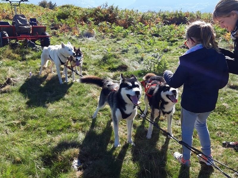 Cani-Rando & Cani-Kart près d'Ax-les-Thermes en Ariège