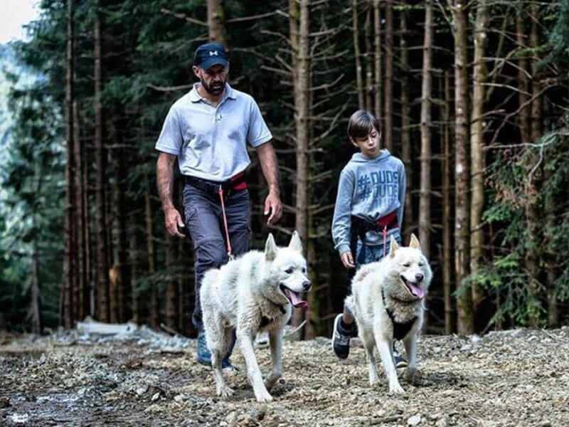 Cani-Rando & Cani-Kart près de Foix en Ariège