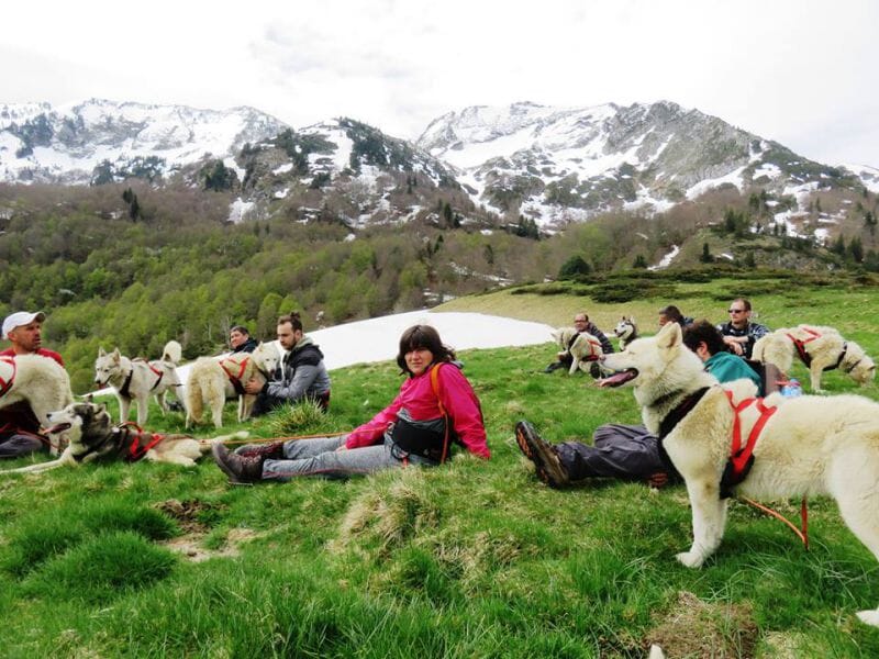 Cani-Rando & Cani-Kart près de Foix en Ariège