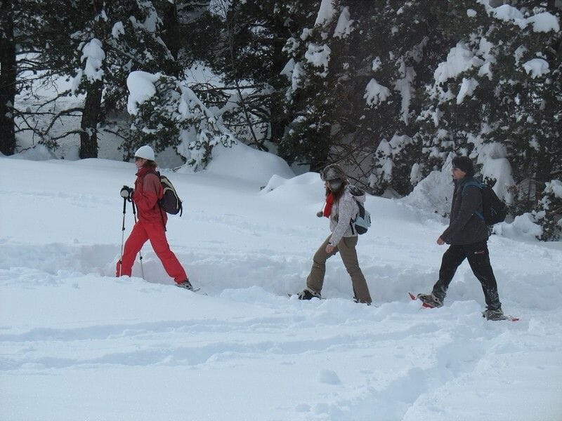 Randonnée en Raquettes près de Nice à Valberg - Parc National du Mercantour