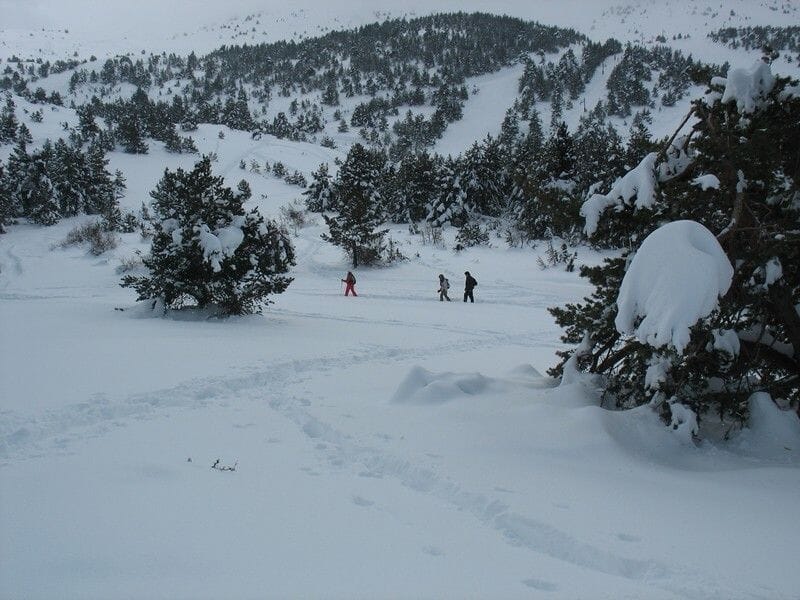 Randonnée en Raquettes près de Nice à Valberg - Parc National du Mercantour