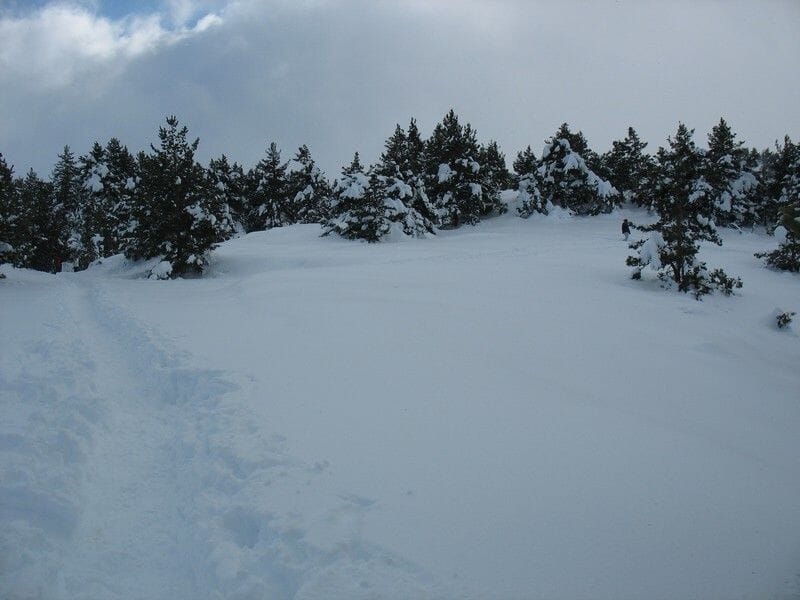 Randonnée en Raquettes près de Nice à Valberg - Parc National du Mercantour