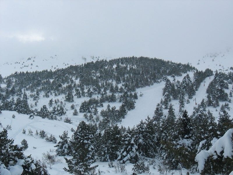 Randonnée en Raquettes près de Nice à Valberg - Parc National du Mercantour