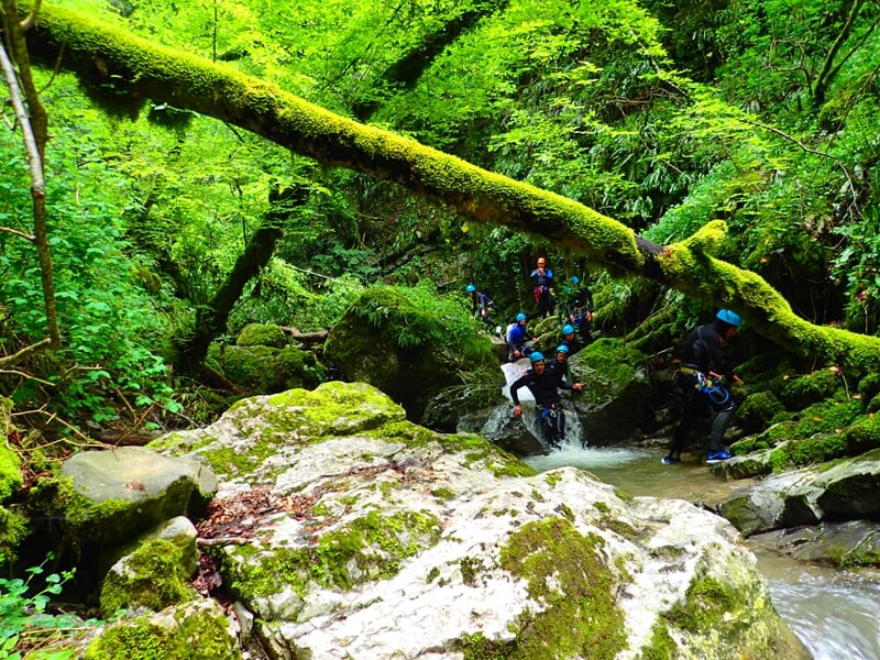 Groupe de personnes en combinaisons noires progressent dans un canyon verdoyant avec de la mousse sur les rochers.