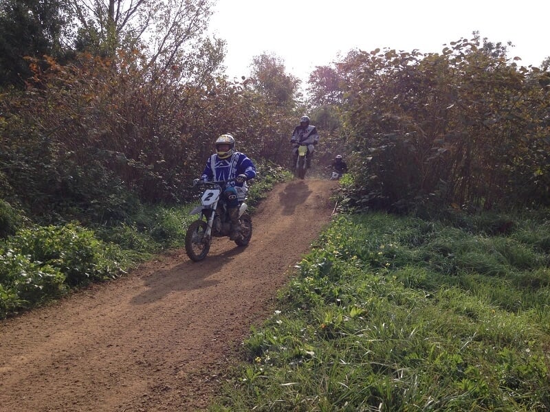 Groupe de motards en tenue de motocross progressant sur un sentier sinueux en pleine nature, bordé d’arbustes et de verdure, sous une lumière douce