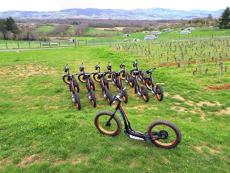 Rangée de trottinettes électriques noires avec pneus larges sur une pelouse verte en plein air.