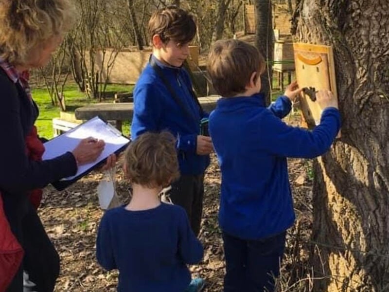 Enfants et adulte interagissant avec un panneau suspendu à un arbre, en pleine nature.