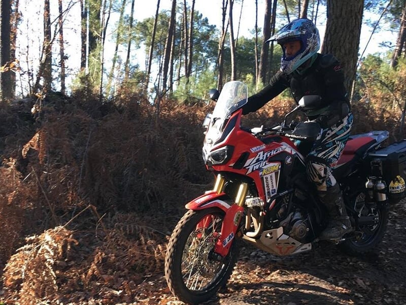 Motard en action sur une Honda Africa Twin rouge dans une forêt, sol recouvert de fougères brunes, arbres de pin en arrière-plan.