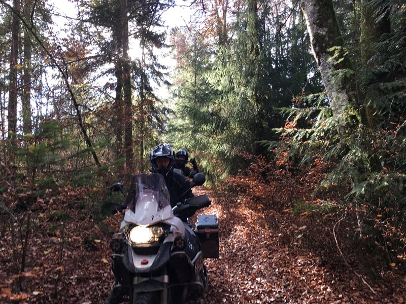 Motard en tenue noire conduit une moto tout-terrain sur un sentier forestier entouré d'arbres verts et jaunes.