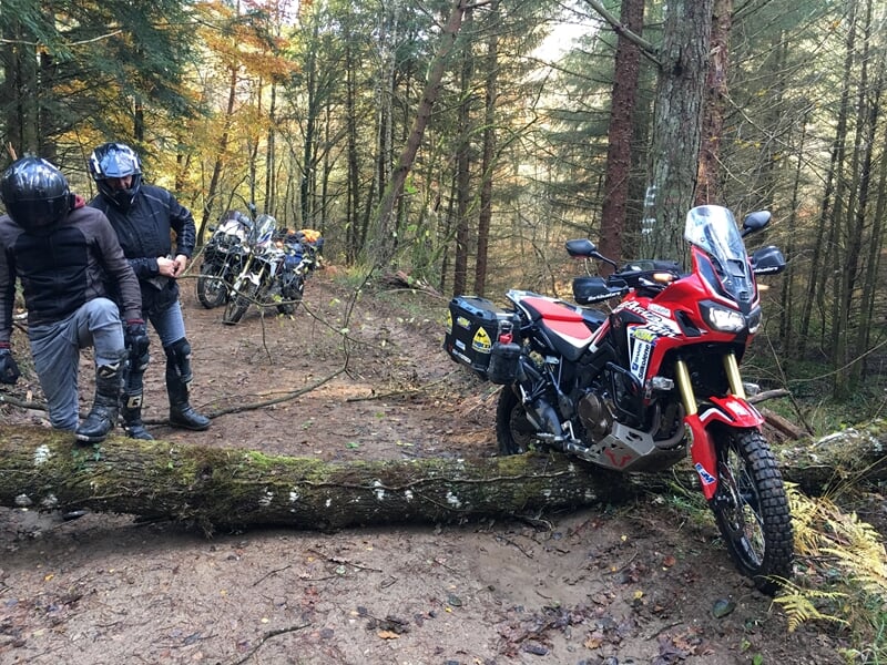 Deux motards en tenue noire et blanche sur un chemin forestier avec une moto rouge bloquée par une branche tombée.