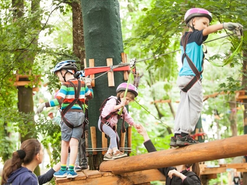 Plusieurs enfants avec casques et harnais évoluant sur un parcours d'accrobranche en forêt, encadrés par un adulte.