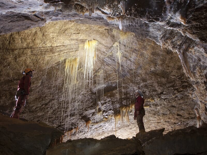 Deux spéléologues admirent des formations de stalactites fines et longues suspendues au plafond d'une grande caverne.