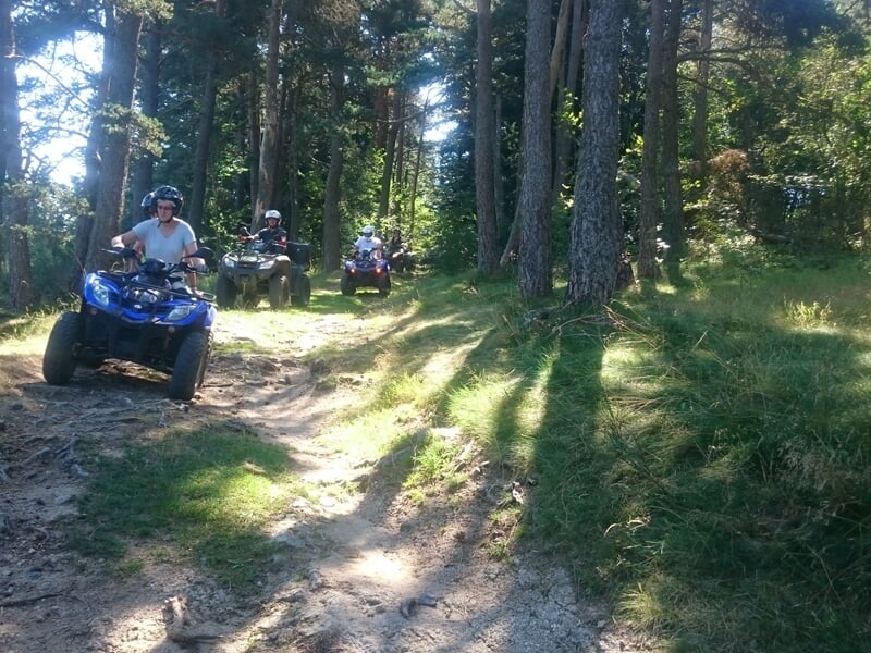 Quads roulant sur un sentier forestier avec des arbres hauts et des rayons de soleil filtrant à travers le feuillage.