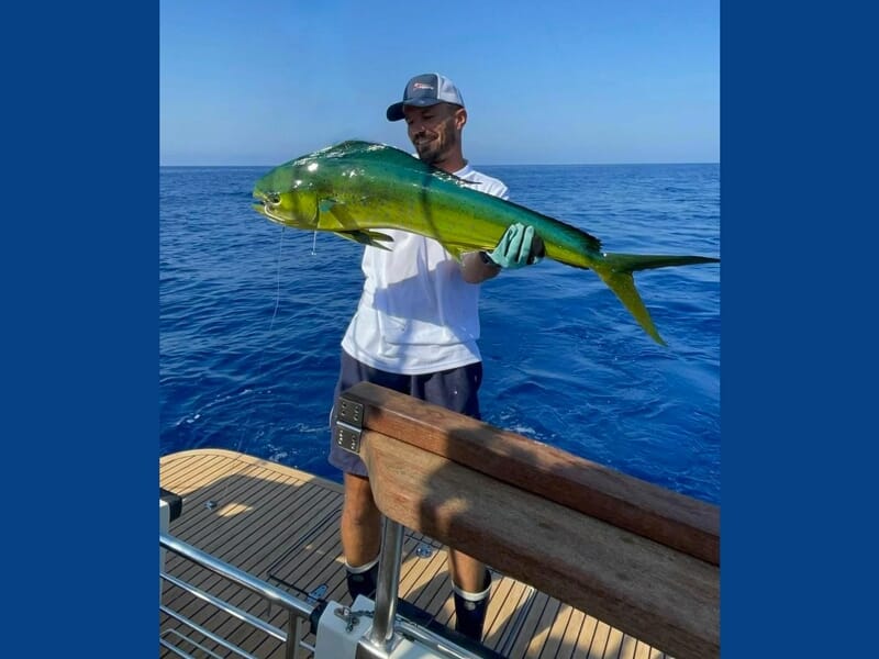 Homme en gants tenant un mahi-mahi vert brillant, debout sur un bateau en pleine mer.