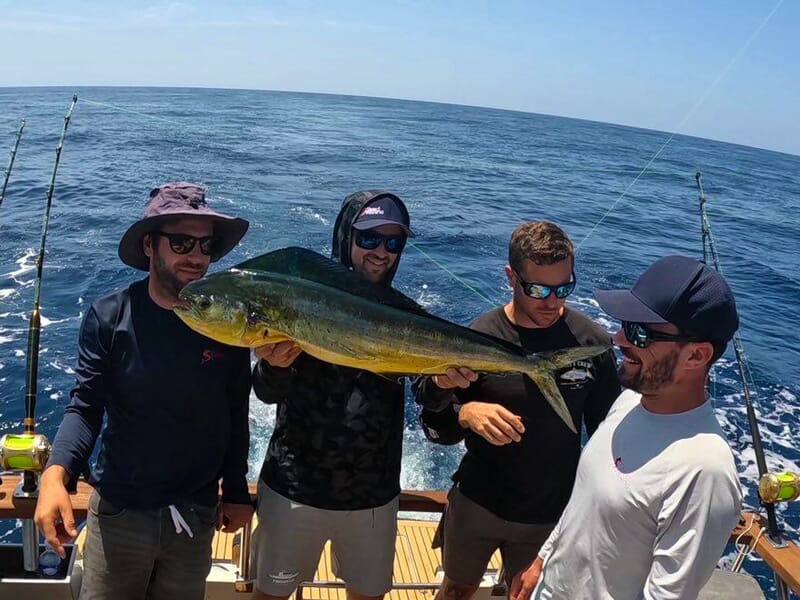 Quatre hommes rassemblés sur un bateau autour d’un coryphène, cannes à pêche visibles derrière eux.