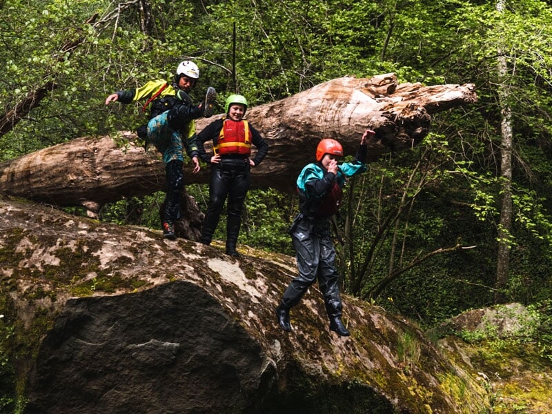 Trois personnes sur un rocher en train de sauter dans une rivière, portant des combinaisons, casques et gilets de sauvetage, entourées de verdure et d'un arbre tombé en arrière-plan