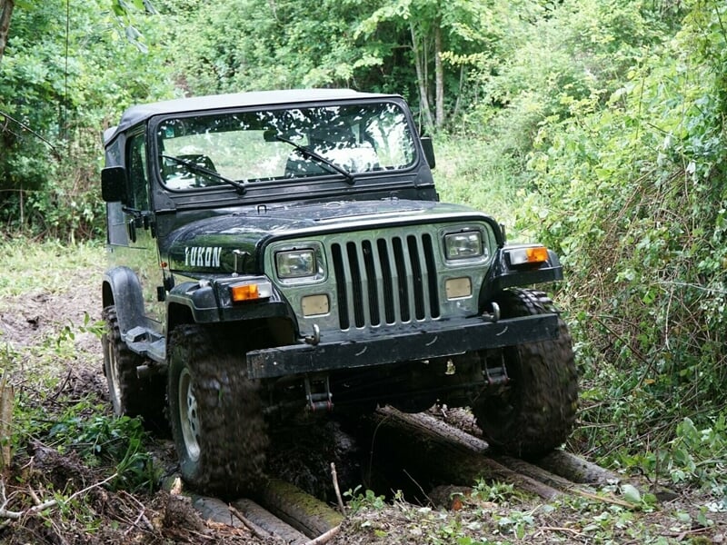 Jeep noire tout-terrain traversant un chemin boueux en forêt dense avec des arbres verts tout autour.