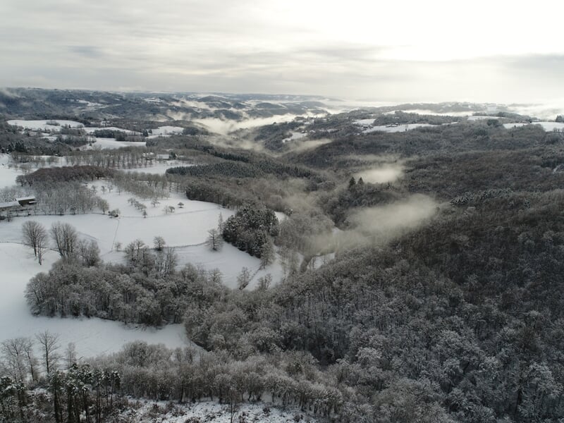 Vue aérienne d'un paysage hivernal avec des arbres enneigés et des collines sous un ciel nuageux.