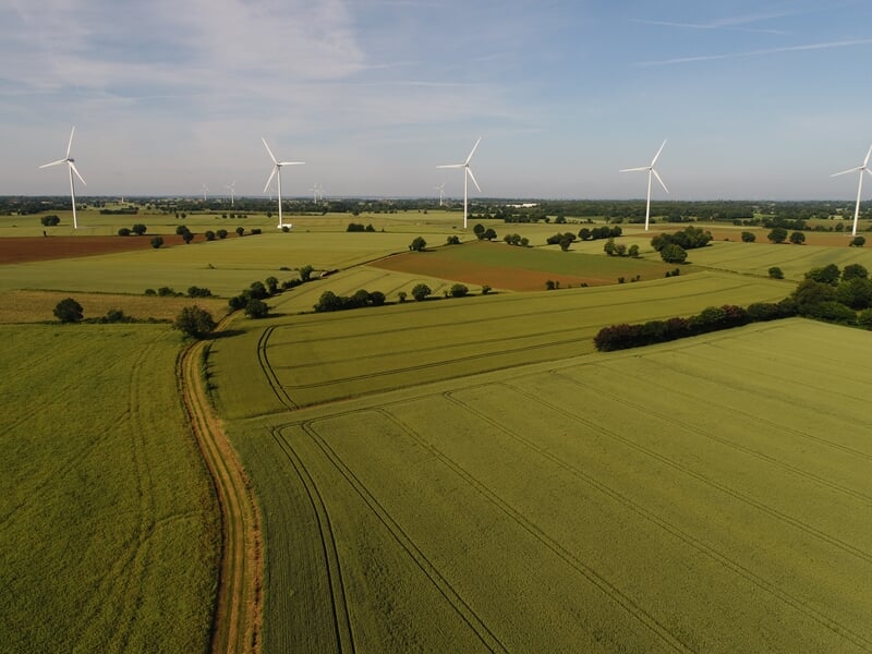 Champ agricole avec plusieurs éoliennes blanches sous un ciel bleu clair et un chemin de terre.