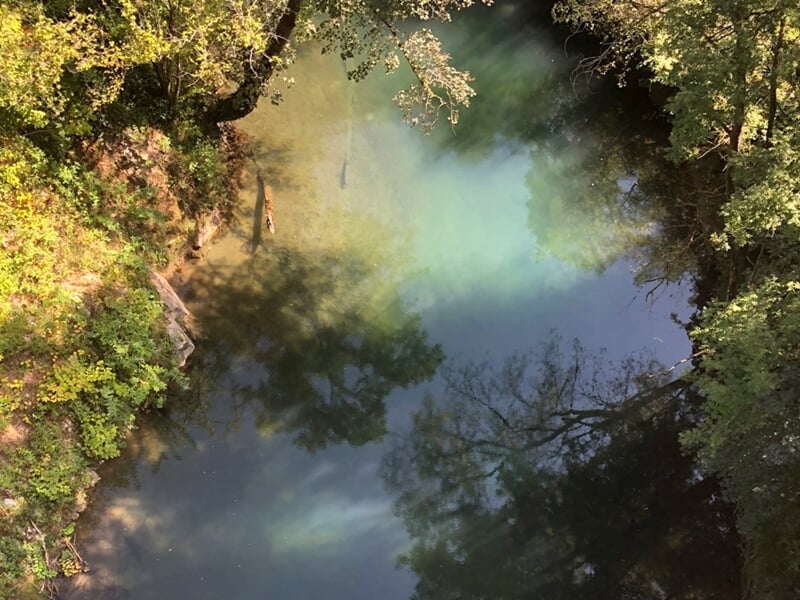 Vue d'une rivière calme entourée d'arbres, avec des reflets de lumière sur l'eau claire.