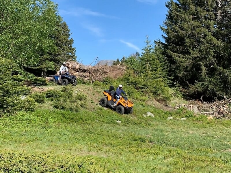 Deux personnes en quad descendent une pente herbeuse entourée de sapins sous un ciel bleu clair à Chamrousse.