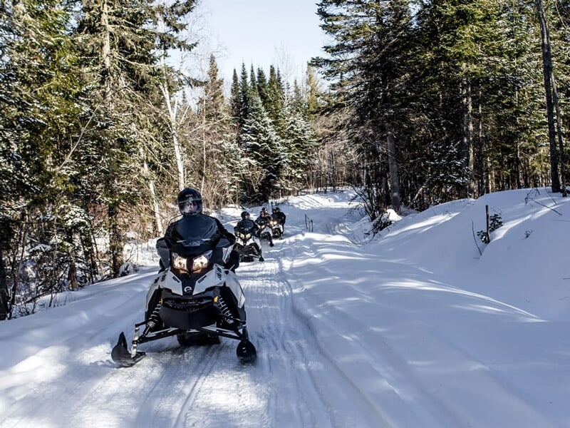 Groupe de motoneiges roulant sur un chemin enneigé entouré d'arbres verts en hiver.