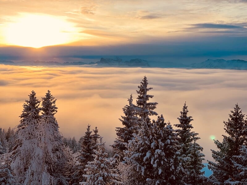 Groupe de motoneiges roulant de nuit sur un sentier enneigé avec les phares allumés.