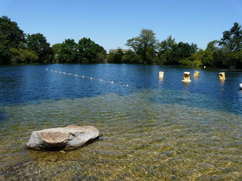 Plan d'eau clair avec un rocher au premier plan et des arbres verts en arrière-plan sous un ciel bleu.