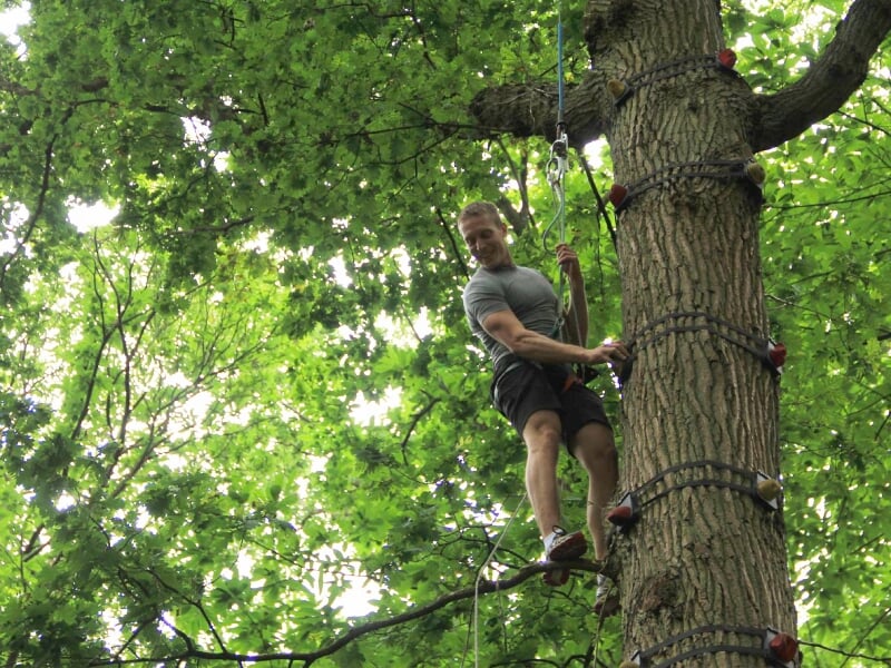 pratique de la grimpe d'arbre près de cergy-pontoise