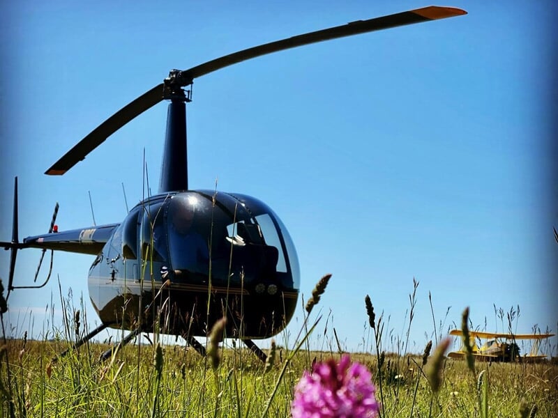Hélicoptère noir vu de face dans un champ avec herbes hautes et une fleur rose au premier plan.