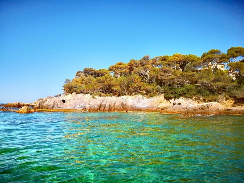 Petite île couverte de pins avec des rochers blancs entourée d'une eau turquoise transparente et calme.