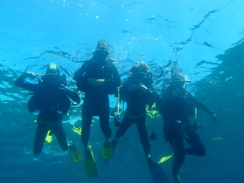 Quatre plongeurs en combinaison noire flottant sous l'eau avec des palmes jaunes et bleues.